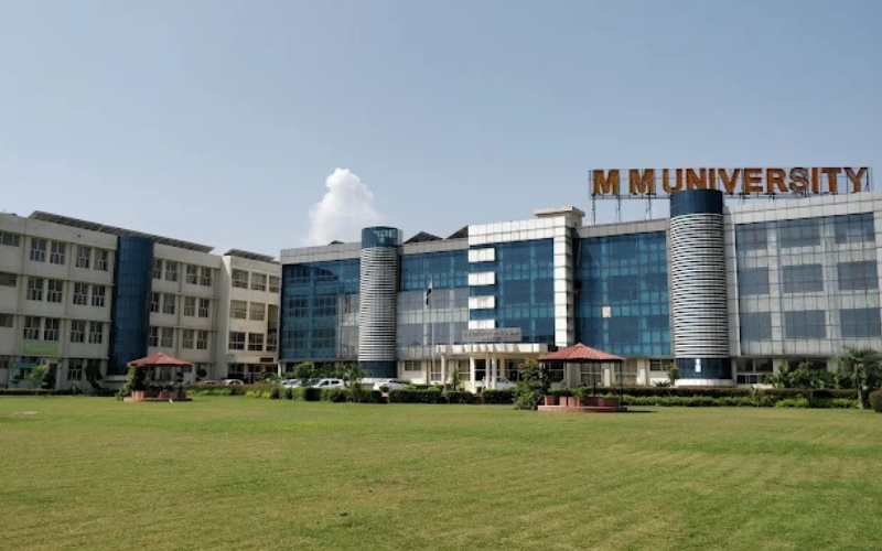 m m university